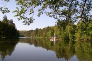 Étang de Hasselfurth