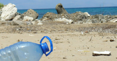 Ist weniger Plastik wirklich Meer?