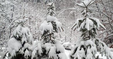 Winter im Saarland (Foto: Woll / Camäléon)