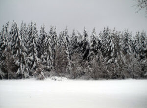 Winter im Saarland (Foto: Woll / Camäléon)