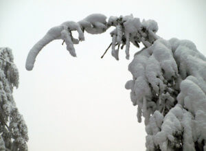 Winter im Saarland (Foto: Woll / Camäléon)