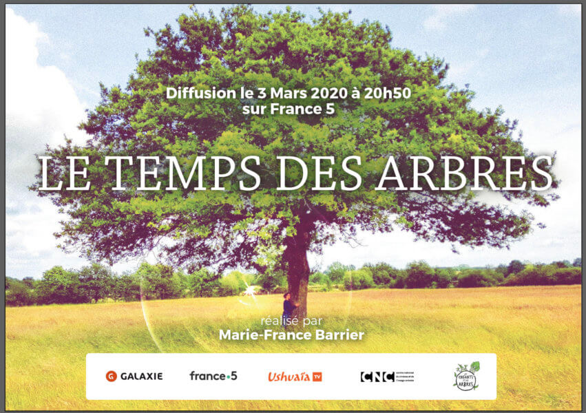 Le temps des arbres