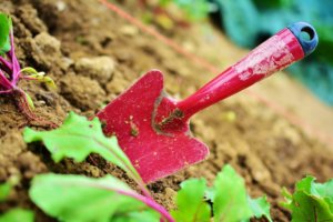 Gartenarbeit