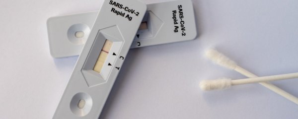 Schnelltests zum Selbermachen