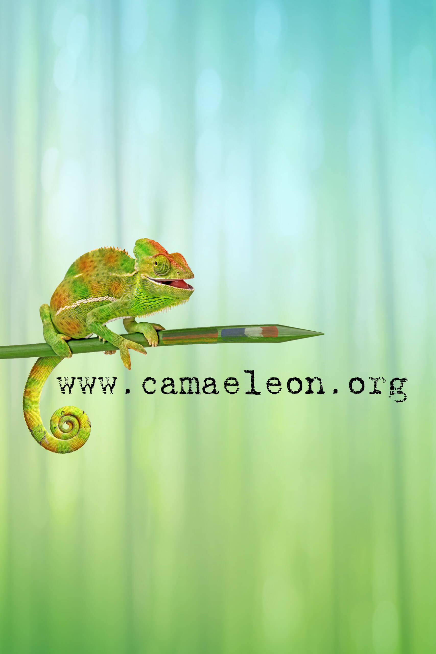 (c) Camaeleon.org