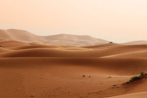 Desert. Foto von Greg Montani. Pixabay.com
