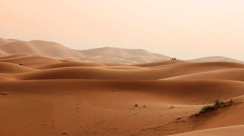 Desert. Foto von Greg Montani. Pixabay.com
