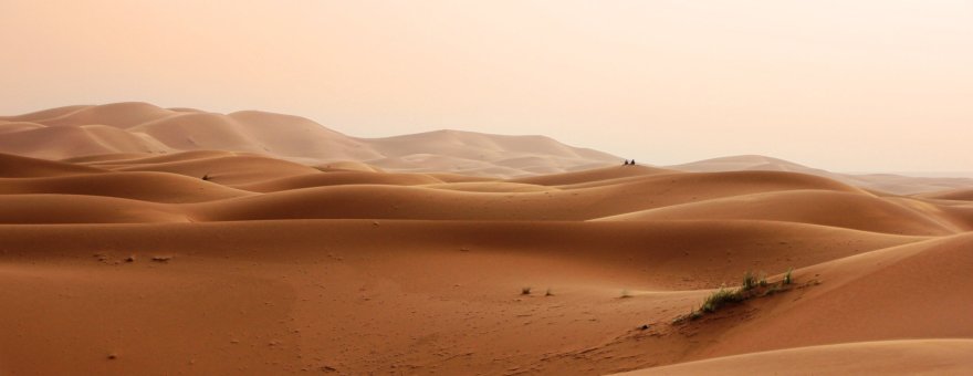 Desert. Foto von Greg Montani. Pixabay.com