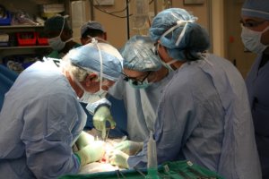 TransplantationTransplantation