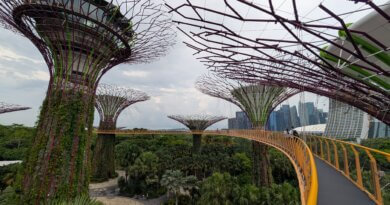 Singapur. Foto Max Ernst
