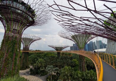 Singapur. Foto Max Ernst
