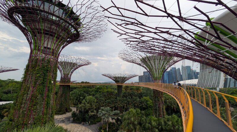 Singapur. Foto Max Ernst